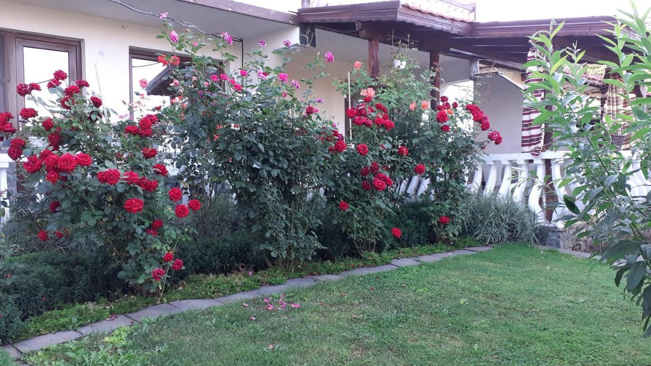Guesthouse Dida Sapareva Banya Exterior photo