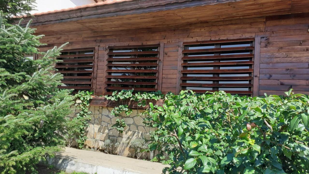 Guesthouse Dida Sapareva Banya Exterior photo