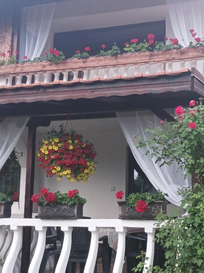 Guesthouse Dida Sapareva Banya Exterior photo